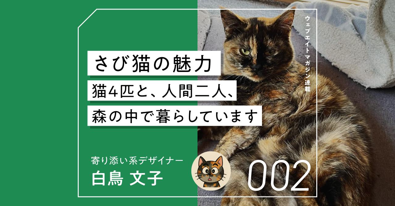 さび猫の魅力  ― 猫4匹と、人間2人、森の中で暮らしています